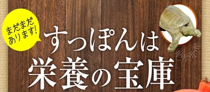 �������ƌ��C���ɂ߂�I�����ۂ�R���[�Q���T�v���̔��T�C�g