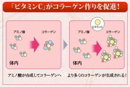 �u�r�^�~��C�v���R���[�Q�����𑣐i�I